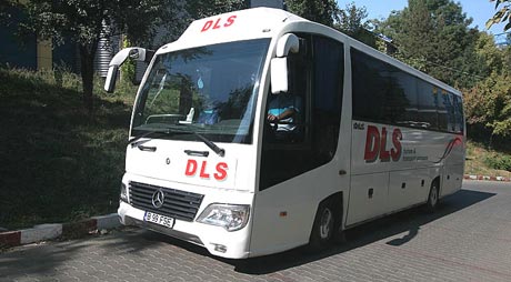 DLS